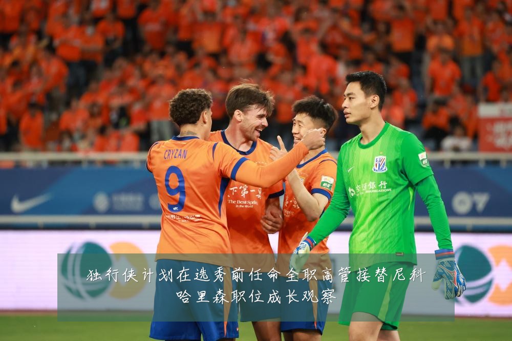 独行侠计划在选秀前任命全职高管接替尼科哈里森职位成长观察